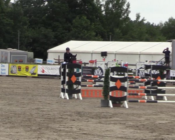 Reitturnier Neustadt/Dosse 2023