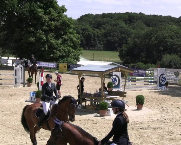 Reitturnier Kalenborn Hegehof 2023