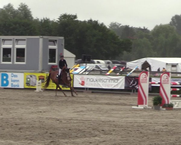 Reitturnier Neustadt/Dosse 2023