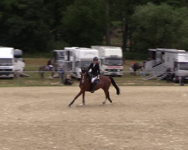 Reitturnier Bad Liebenstein/Sorga 2023