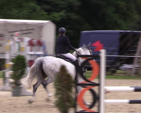 Reitturnier Bad Liebenstein/Sorga 2023