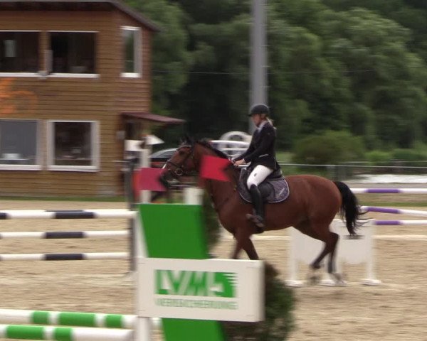 Reitturnier Bad Liebenstein/Sorga 2023
