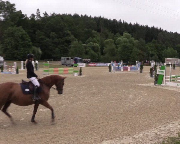 Reitturnier Bad Liebenstein/Sorga 2023