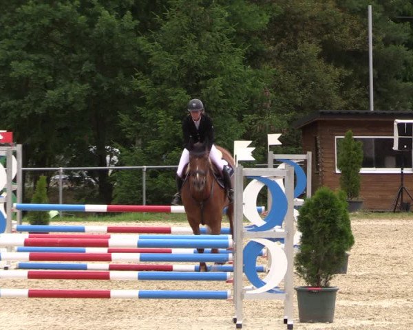 Reitturnier Bad Liebenstein/Sorga 2023