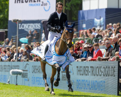 broodmare Farah Tame (Selle Français, 2015, from Quadrio Tame)
