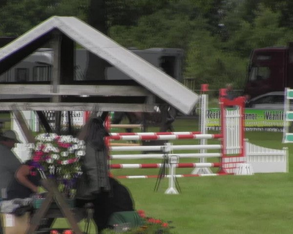 Reitturnier Ihleburg 2023