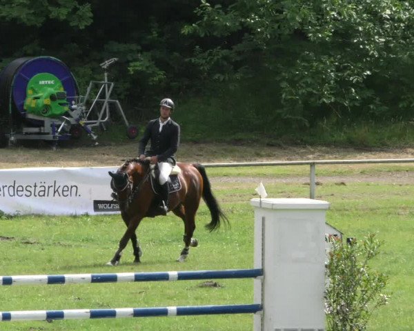Reitturnier Wolfsburger Klassiker 2023