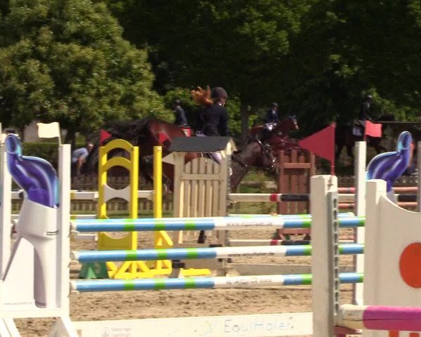 Reitturnier Schülp / Rendsburg 2023