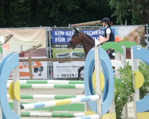 Reitturnier Walldorf/Winterheck PSG 2023