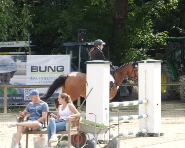 Reitturnier Walldorf/Winterheck PSG 2023