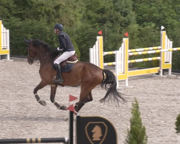 Reitturnier Margarethenhof /Beckingen 2023