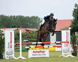 jumper Maria 59 (German Sport Horse, 2015, from Carl Albert von Perm)