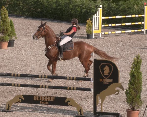 Reitturnier Margarethenhof /Beckingen 2023