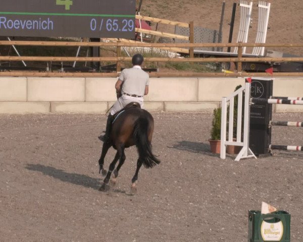 Reitturnier Margarethenhof /Beckingen 2023