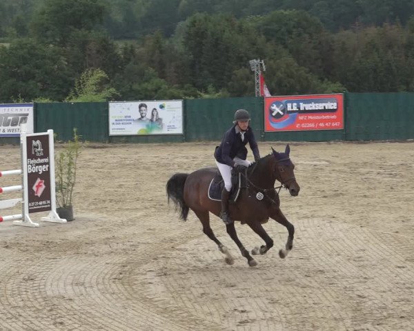 Reitturnier Lindlar-Süttenbach 2023