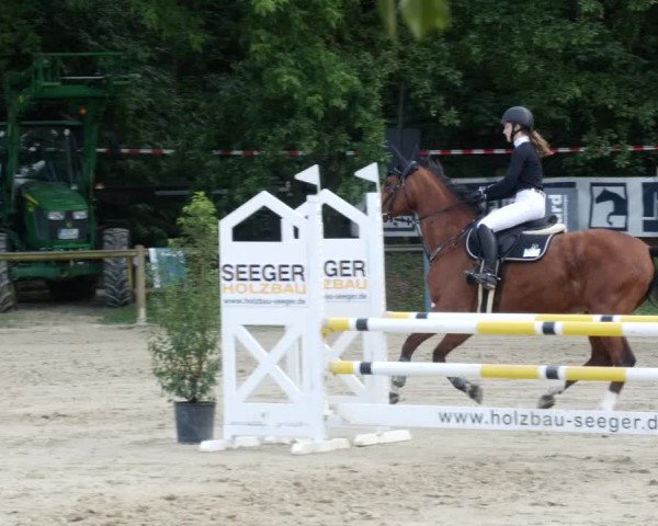 Reitturnier Walldorf/Winterheck PSG 2023