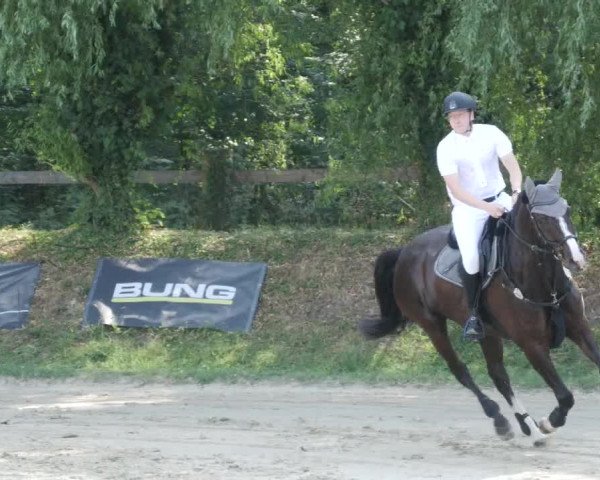 Reitturnier Walldorf/Winterheck PSG 2023