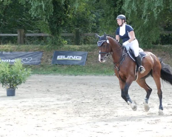 Reitturnier Walldorf/Winterheck PSG 2023