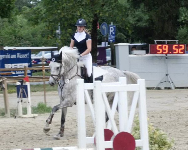 Reitturnier Walldorf/Winterheck PSG 2023