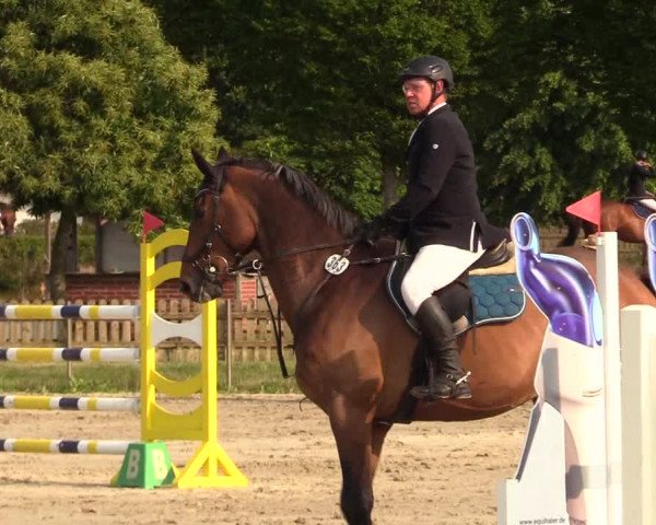 Reitturnier Schülp / Rendsburg 2023