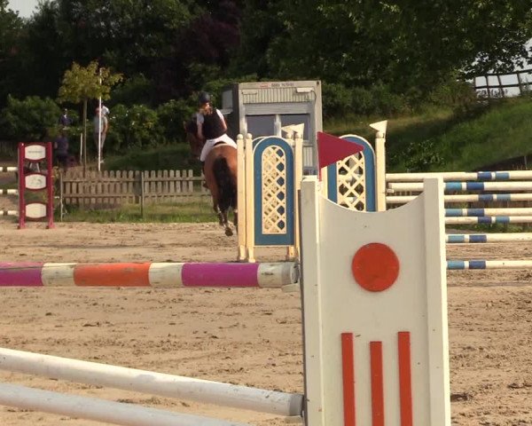 Reitturnier Schülp / Rendsburg 2023
