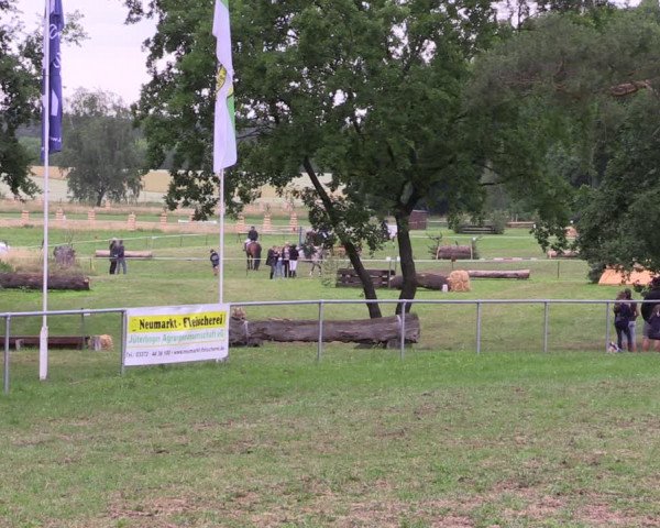 Reitturnier Niederwerbig 2023