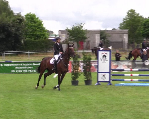 Reitturnier Dersekow 2023
