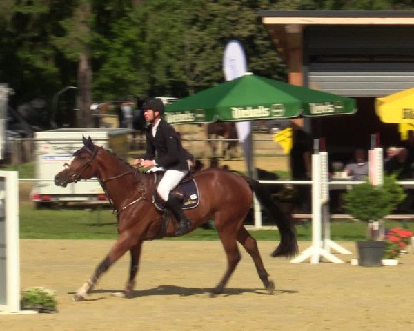 Reitturnier Sonsbeck 2023