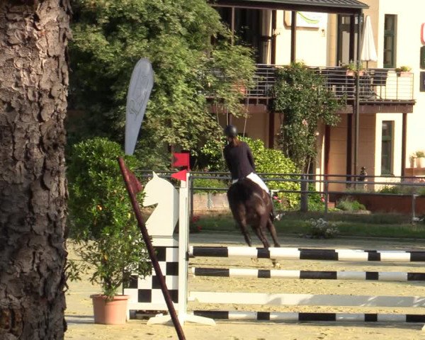 Reitturnier Sonsbeck 2023