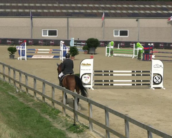 Reitturnier Kalenborn Hegehof 2023