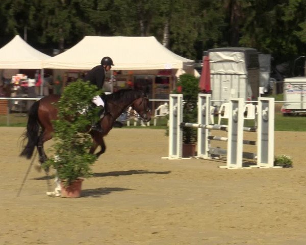 Reitturnier Sonsbeck 2023
