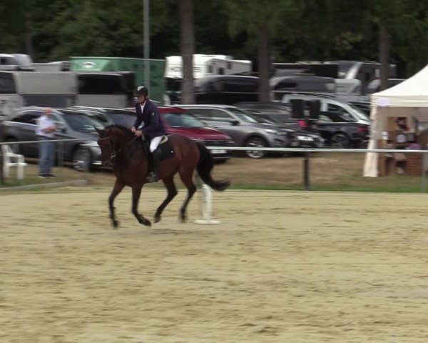 Reitturnier Sonsbeck 2023