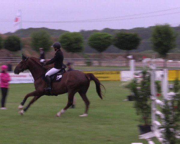 Reitturnier Dersekow 2023