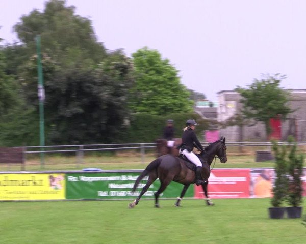 Reitturnier Dersekow 2023