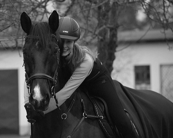 dressage horse Rasputin 636 (Hanoverian, 2011, from Rascalino)