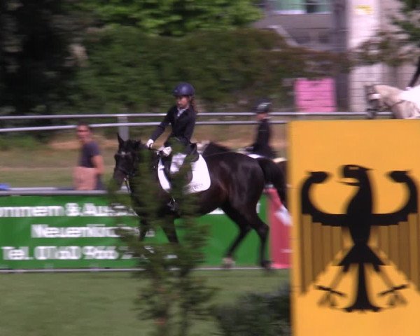 Reitturnier Dersekow 2023