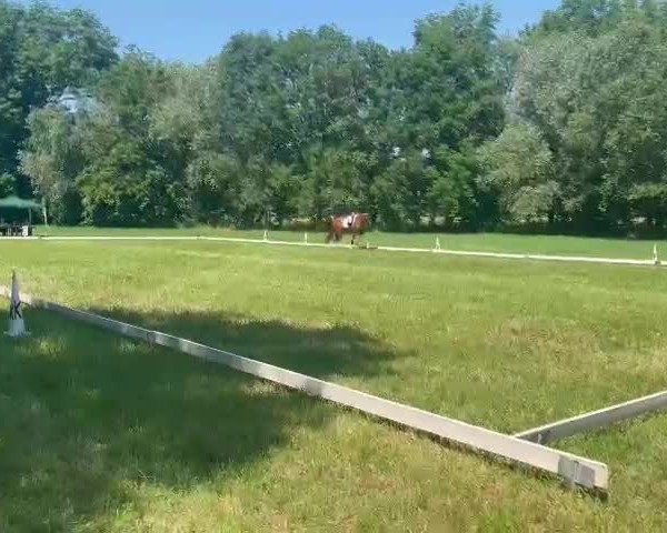 Video of Dancera