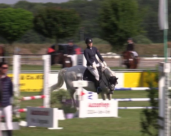 Reitturnier Dersekow 2023