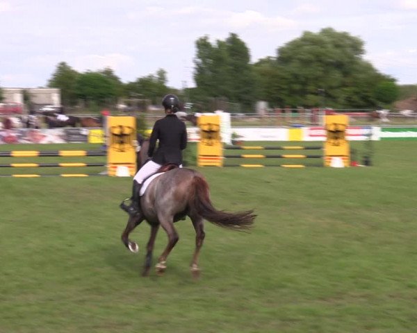 Reitturnier Dersekow 2023