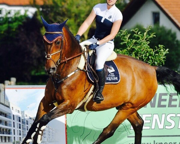 Katja Sailer