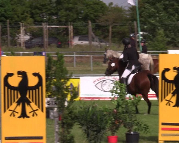 Reitturnier Dersekow 2023