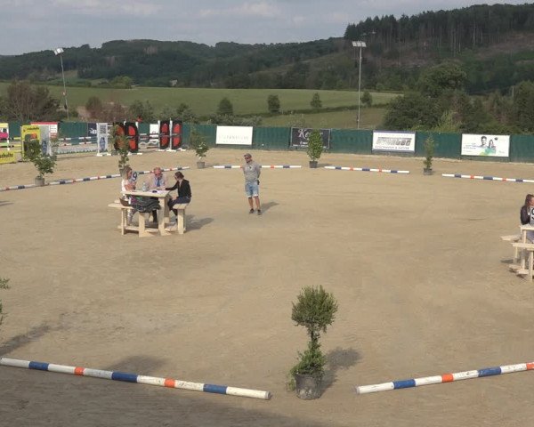 Sichtung zum Horse24-Fohlenchampionat 2023 in Lindlar