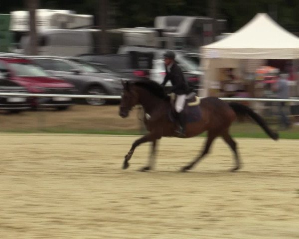 Reitturnier Sonsbeck 2023