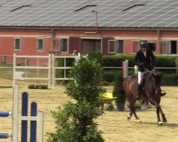 Reitturnier Sonsbeck 2023