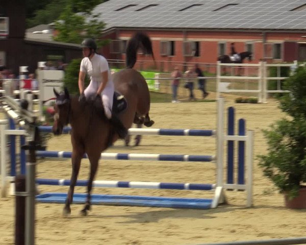 Reitturnier Sonsbeck 2023