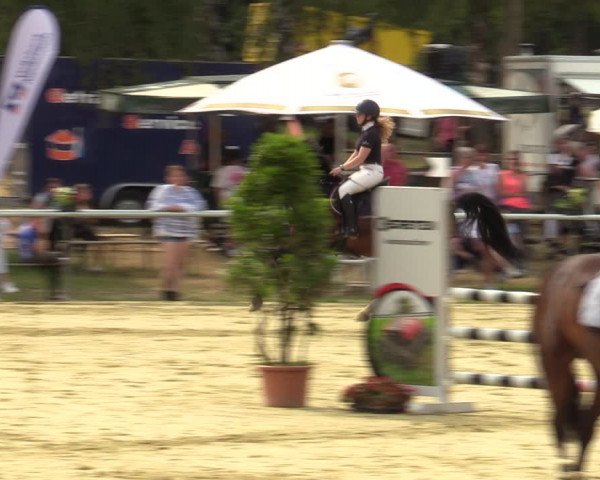 Reitturnier Sonsbeck 2023