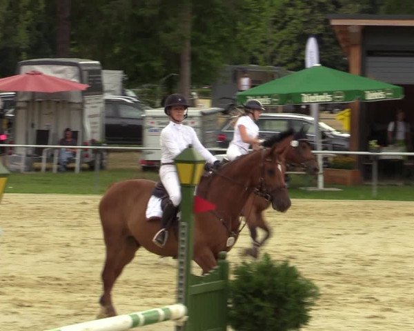 Reitturnier Sonsbeck 2023
