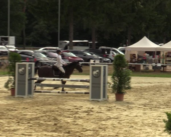 Reitturnier Sonsbeck 2023
