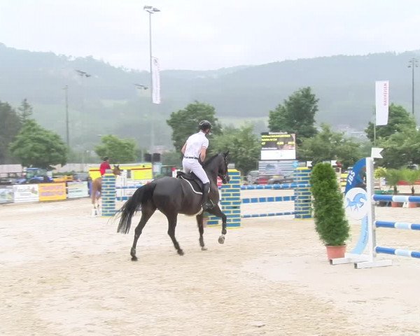 Reitturnier Balsthal 2023