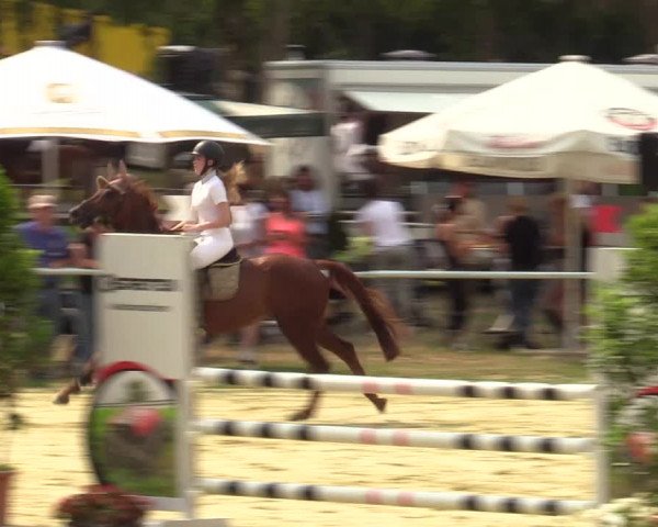 Reitturnier Sonsbeck 2023